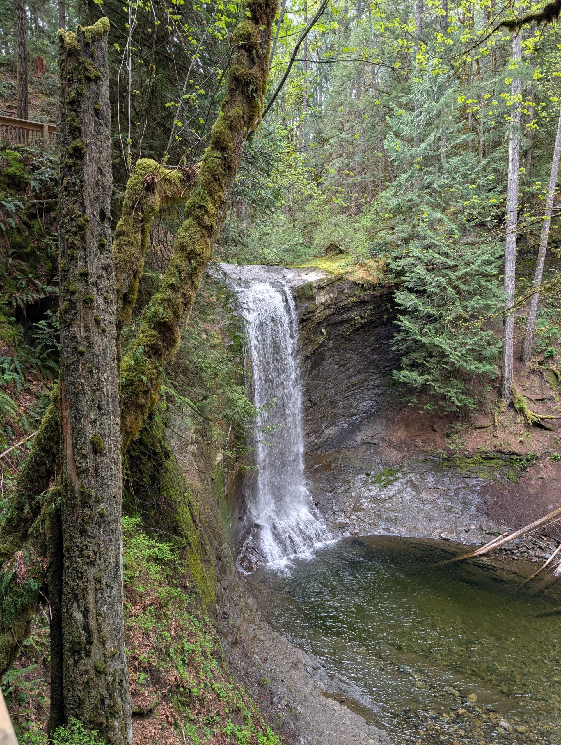 Ammonite Falls April 30, 2025