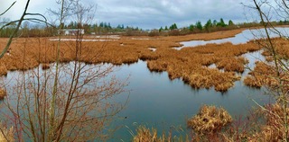 Monthly Column – Discover Buttertubs Marsh