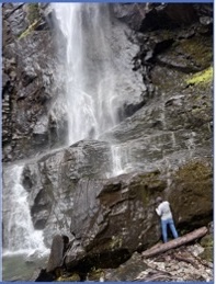 October 16, 2025 at 7pm-Totally Saturated: Plants of Extremely Wet Habitats of Vancouver Island