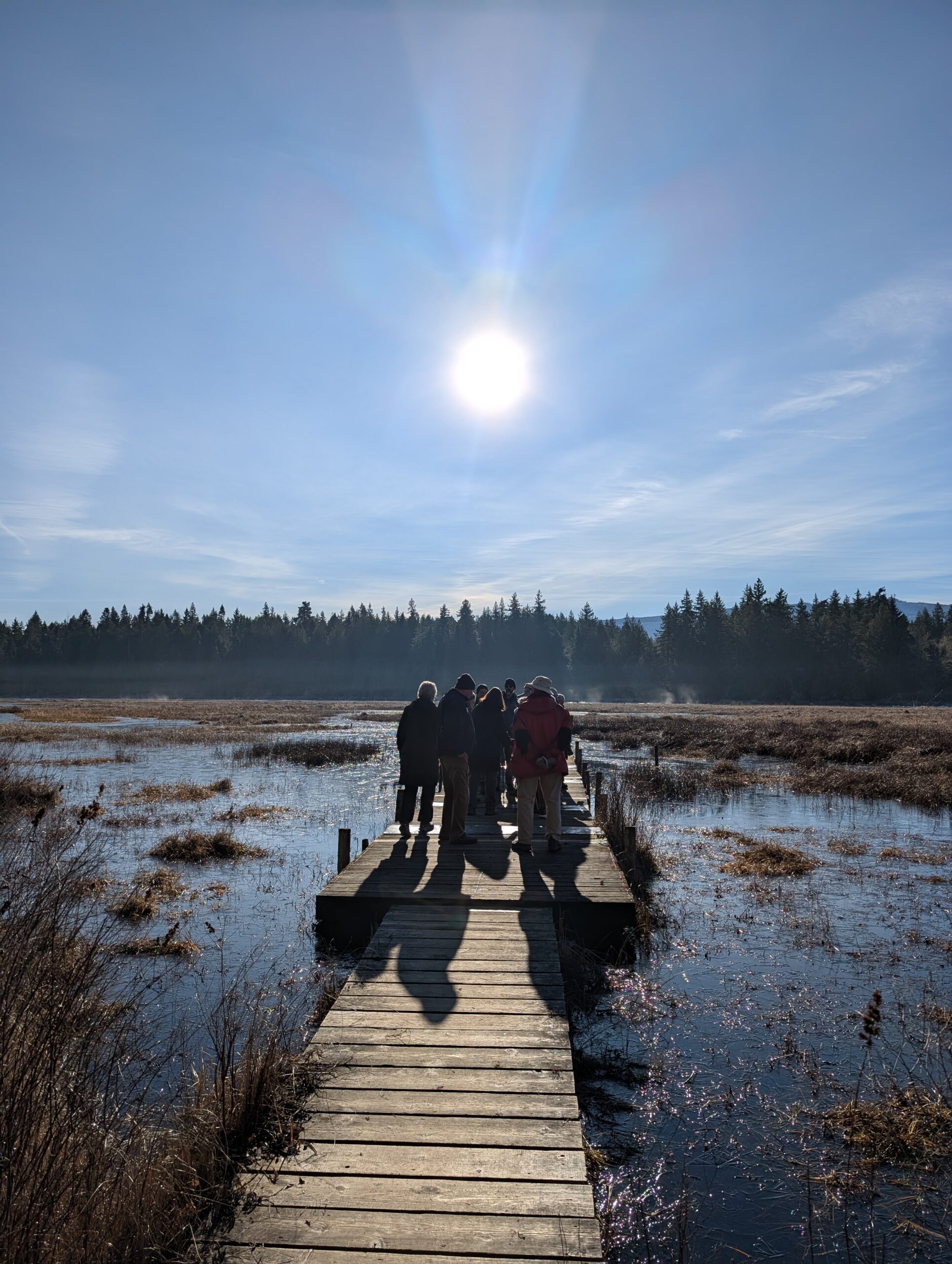 Hamilton Marsh – January  21, 2026