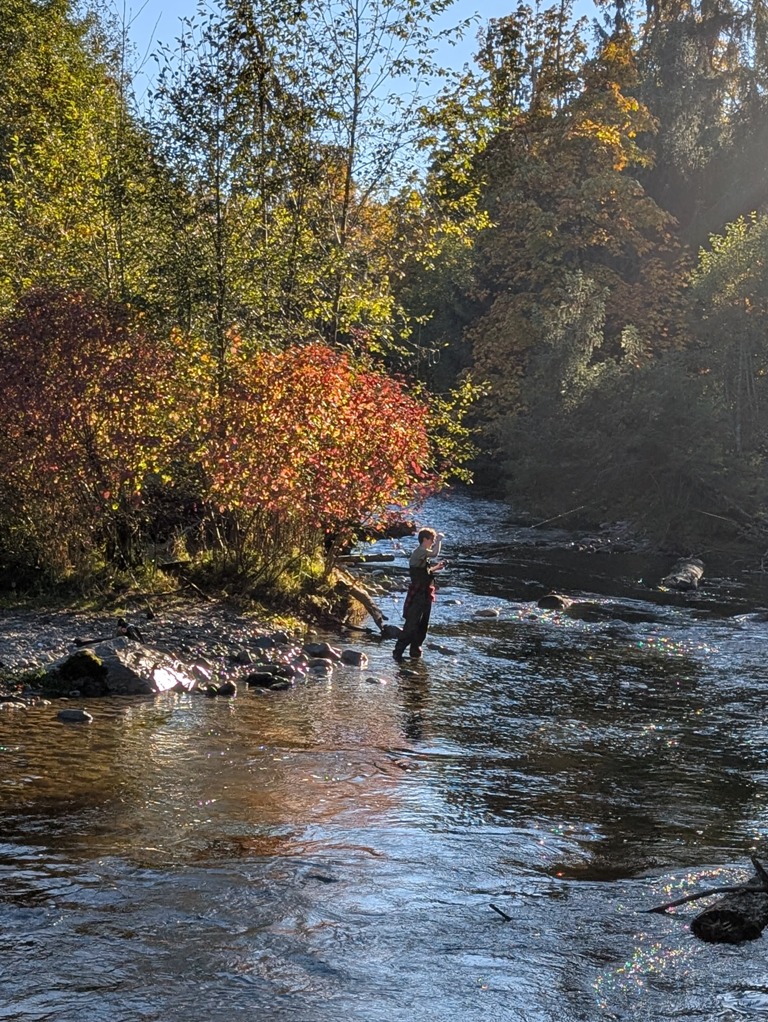 Quinsam River Fish Hatchery – October 3, 2026